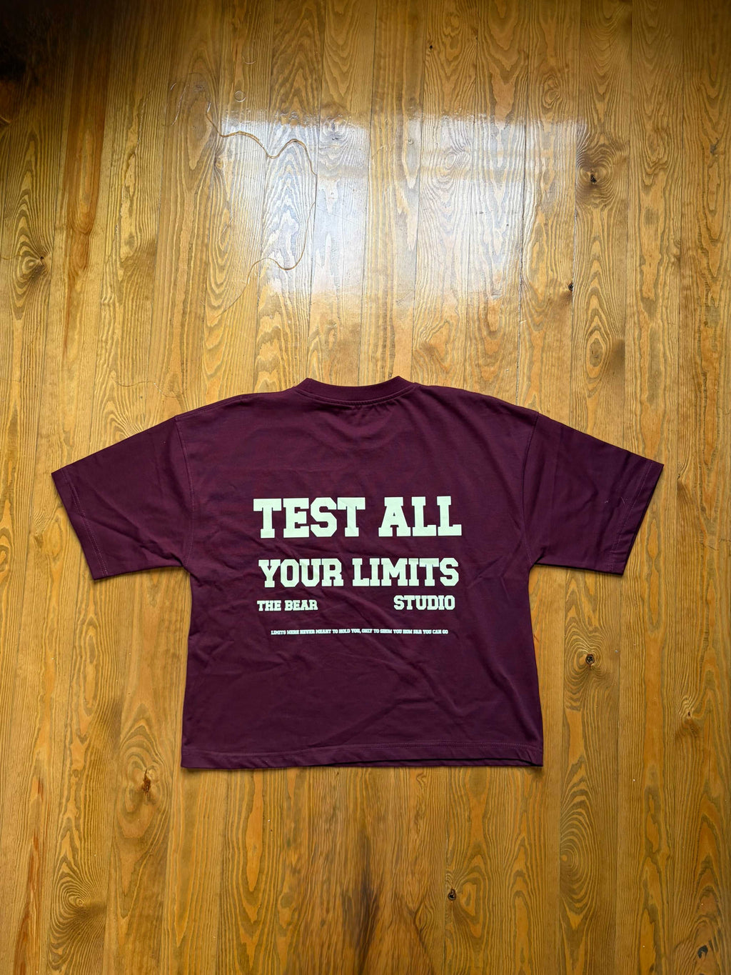 TEST ALL YOUR LIMITS OVERSIZED BURGUNDY T-SHIRT